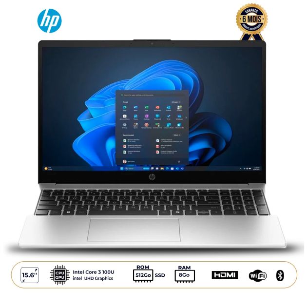 Ordinateur portable HP - 250R G10 (064)